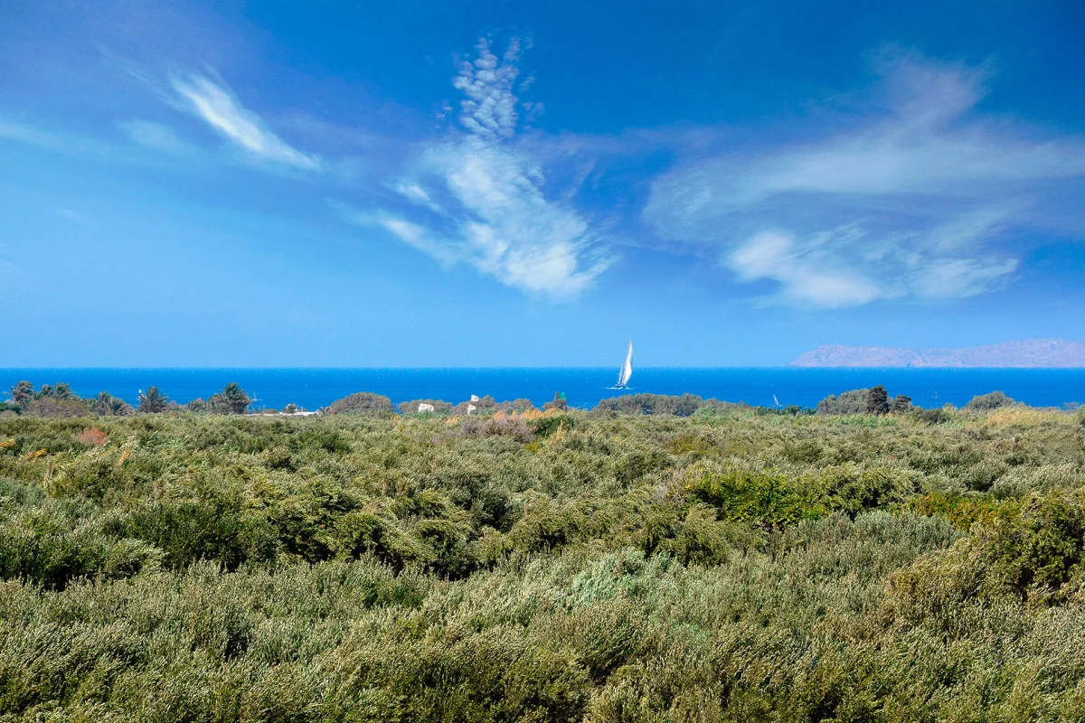 Olive Coast Suites