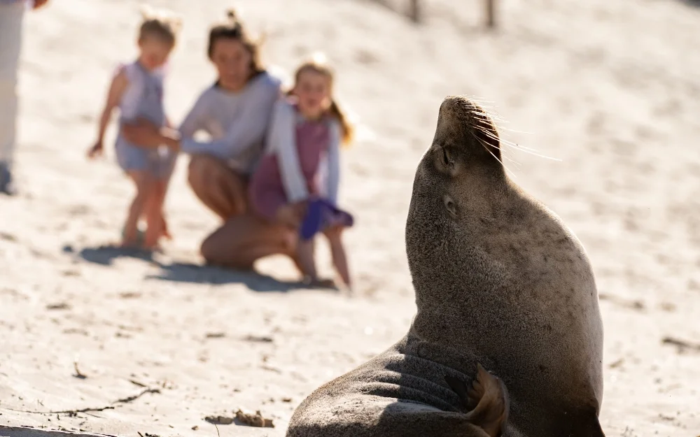 Ozone Hotel Kangaroo Island