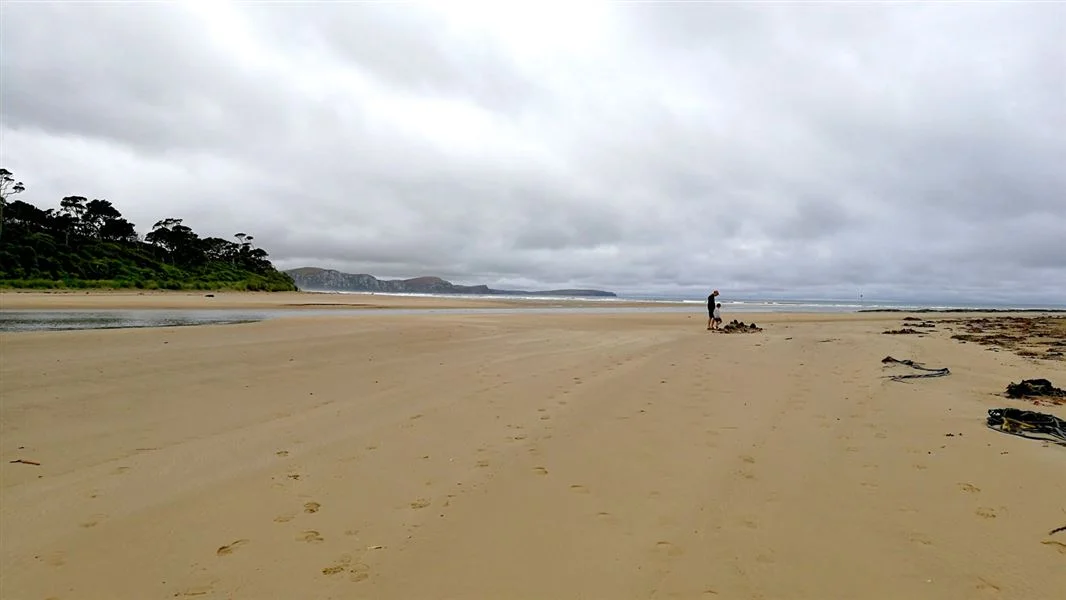 Papatowai Campsite (DOC)
