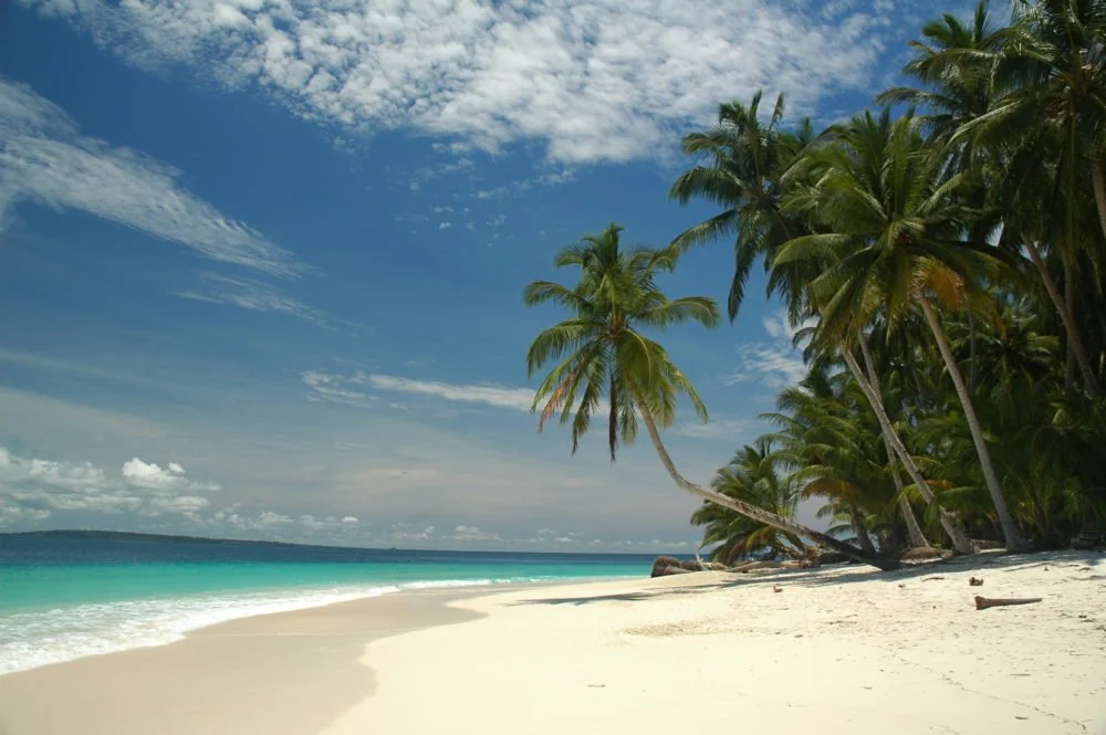 WavePark Mentawai Surf Resort