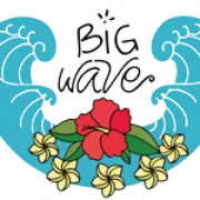 Big Wave Surf School