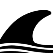 Black Fin Surf School