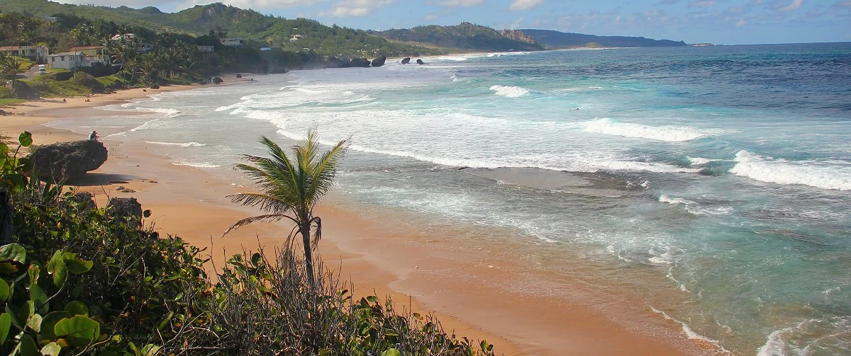 Che's Surf School