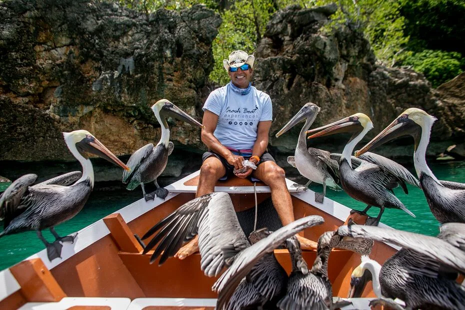 Crash Boat Experiences