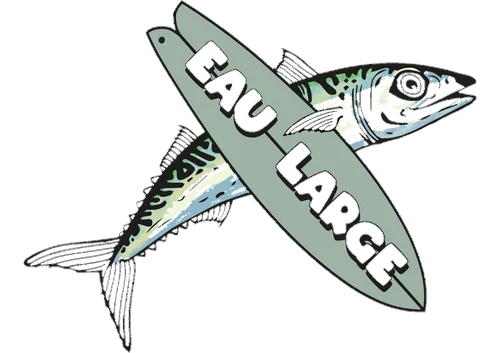 Eau Large Surf School