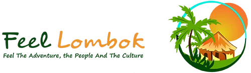 Feel Lombok Surf