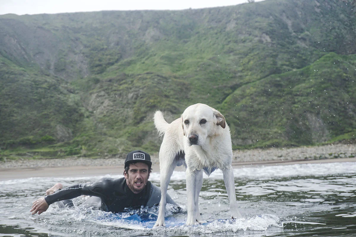 La Salbaje Surf Eskola