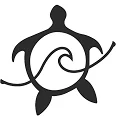 Manoa Tours Surf Camp