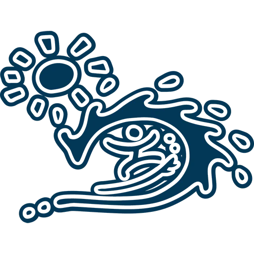 Margaret River Surf School Official
