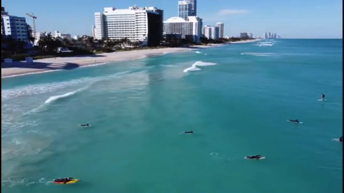 Miami Surf Academy