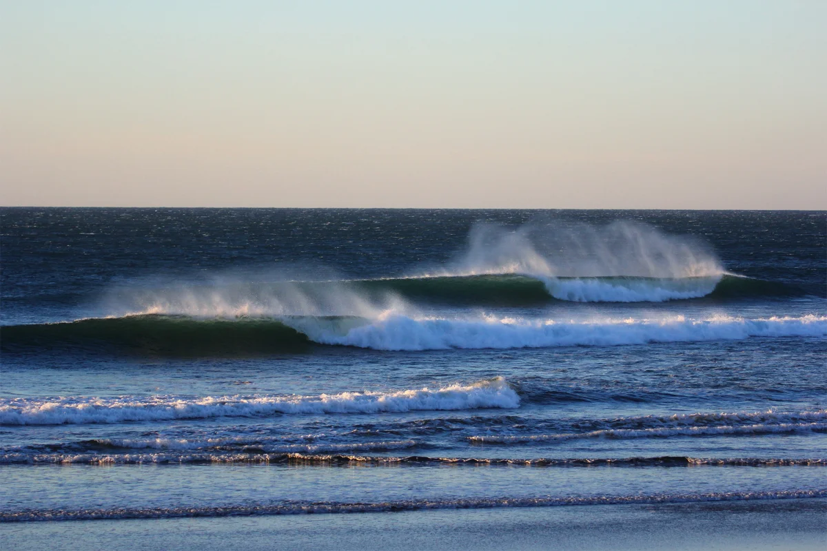 Sunzal Surf Company