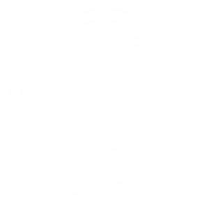 Totora Surf School