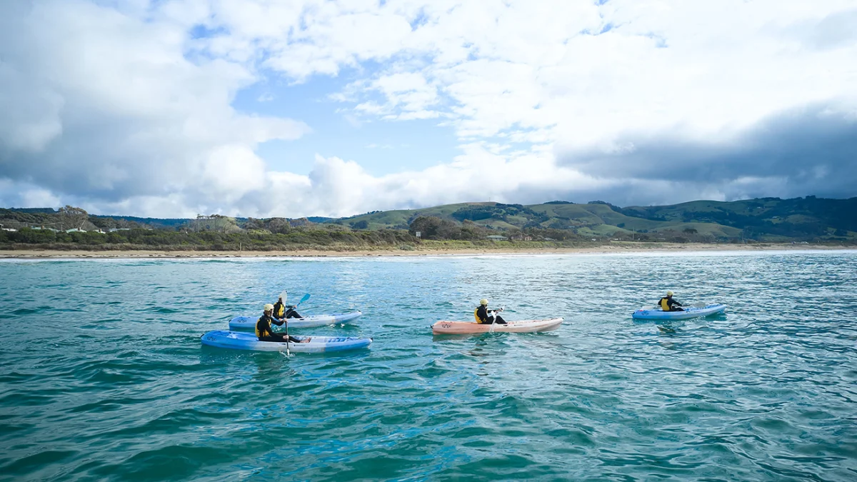 Apollo Bay Surf & Kayak