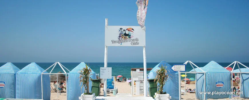 Caparica Surf Shop Tarquinio