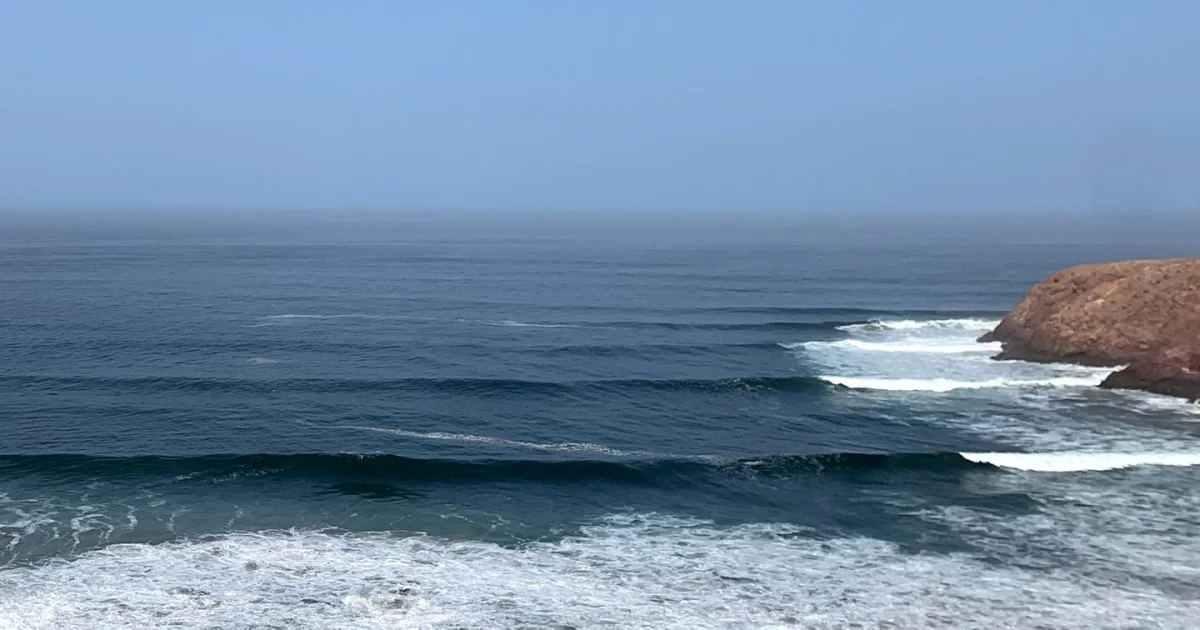 Hey Ola Surf Shop