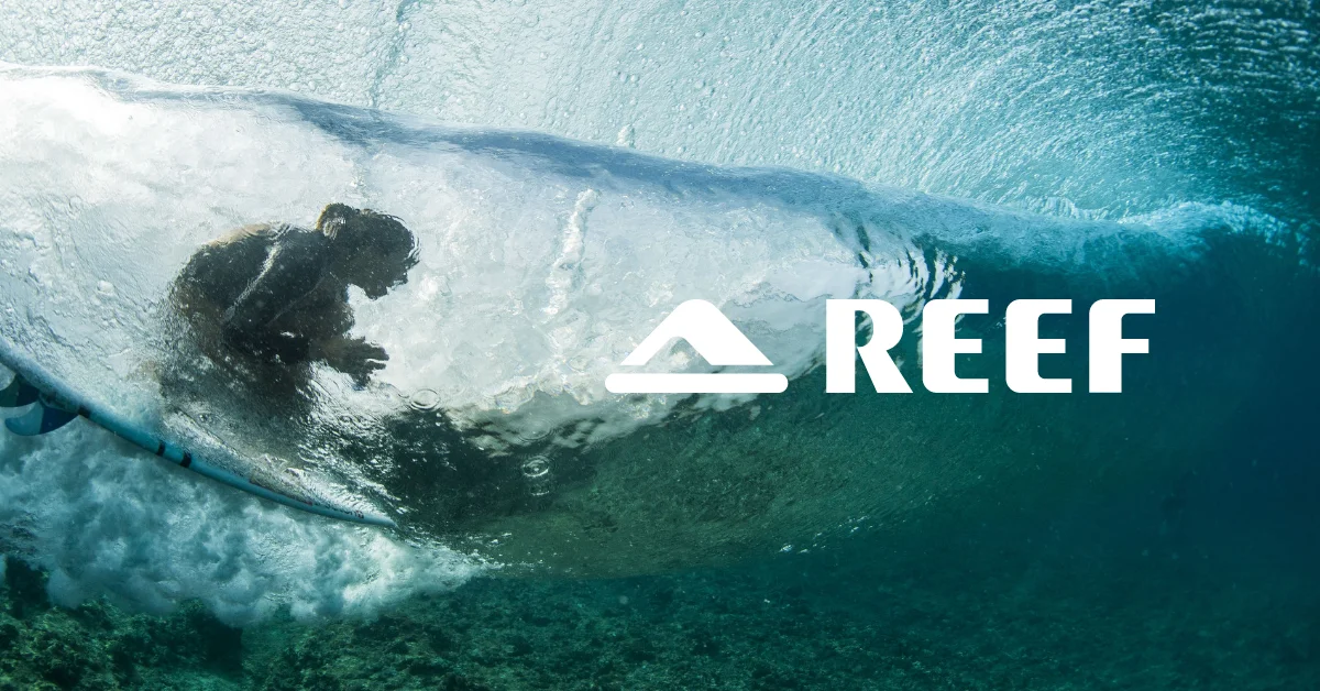 Reef Surf Shop Anglet