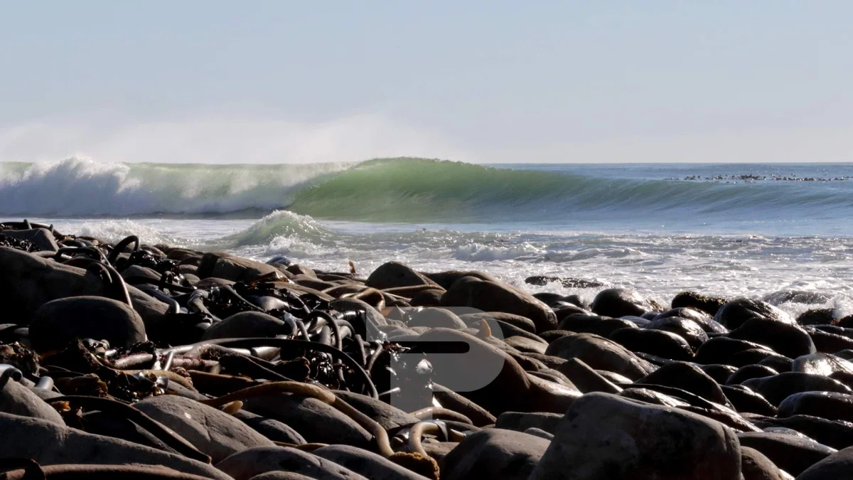 Stoked School of Surf