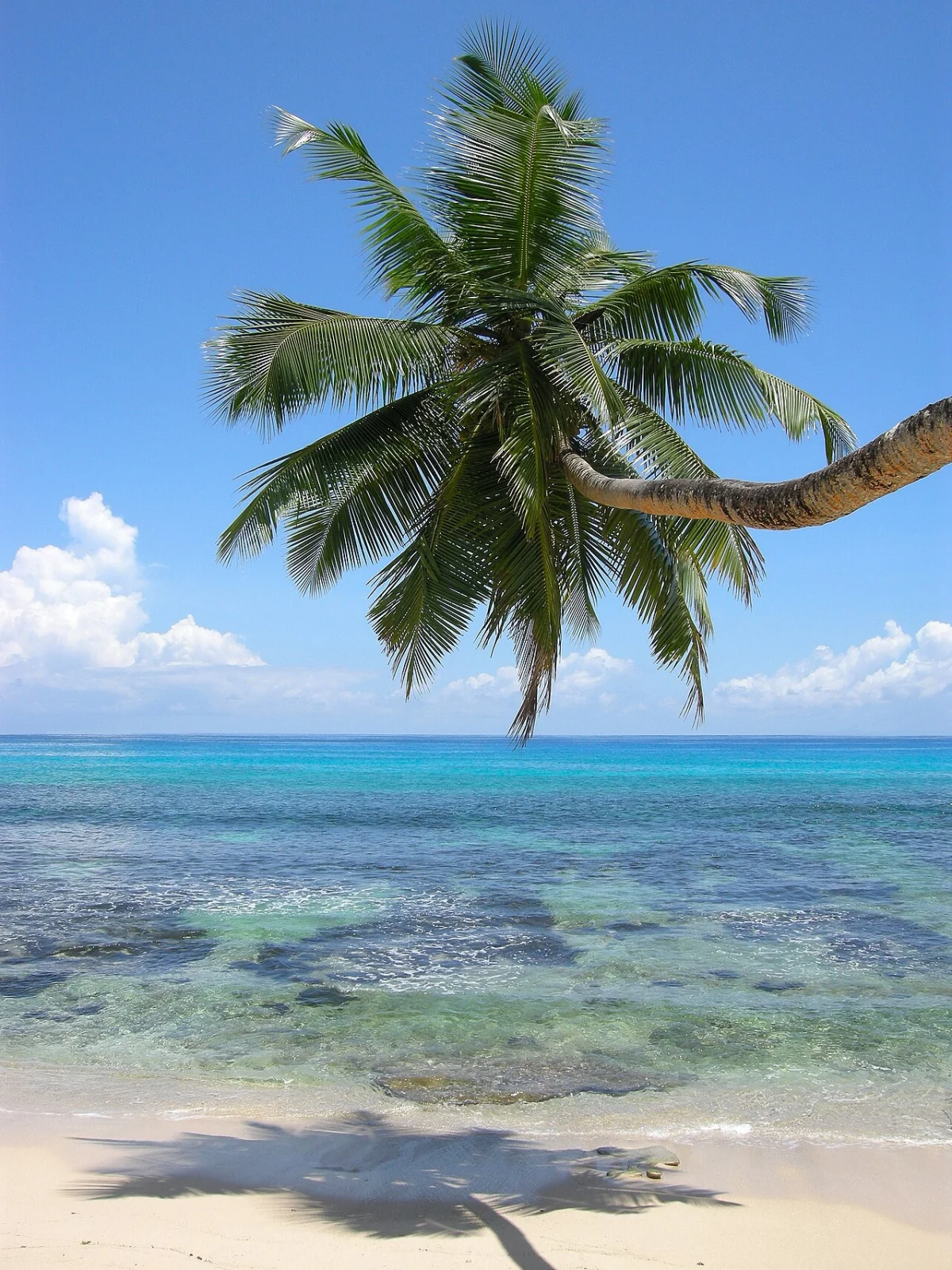 Anse Takamaka
