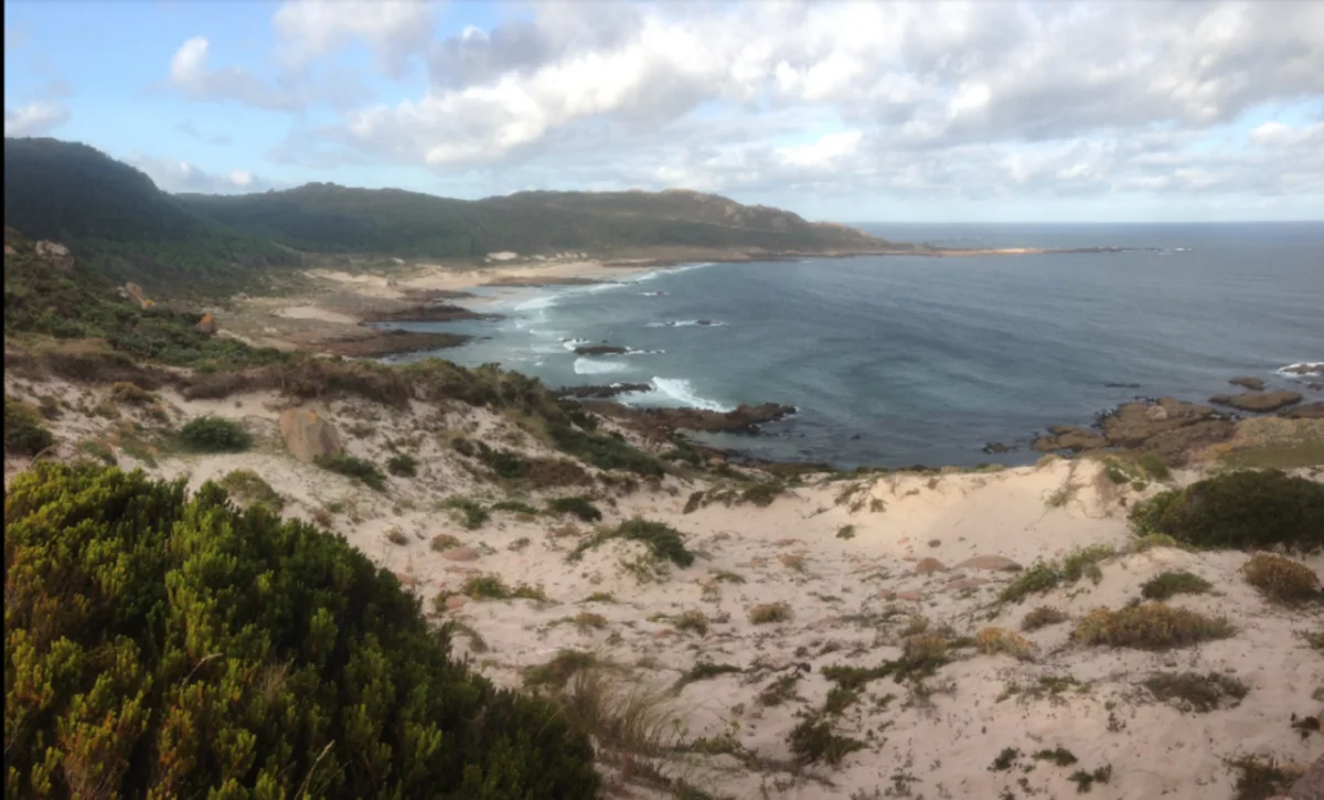 Area de Trece