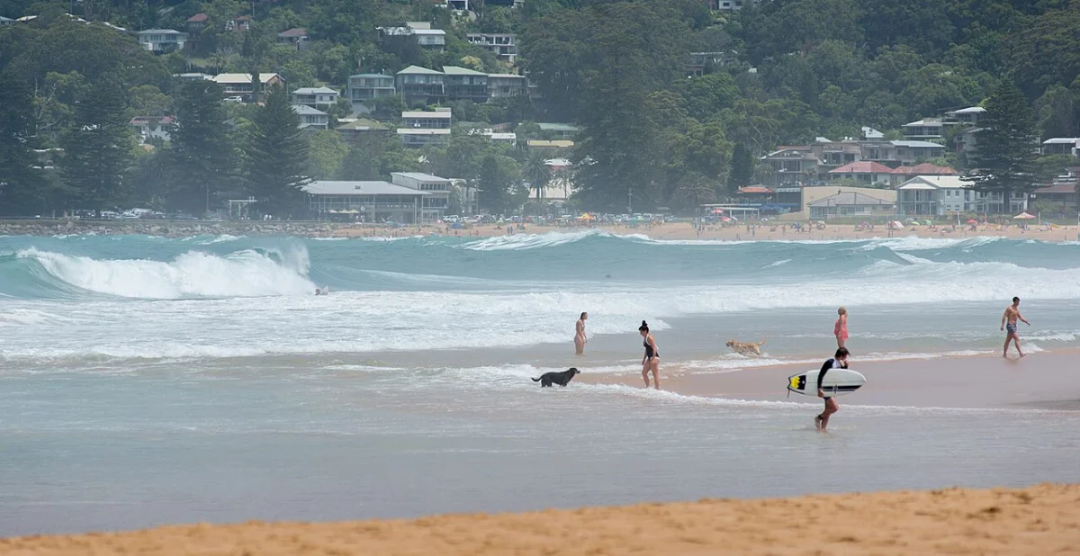 Avoca Beach