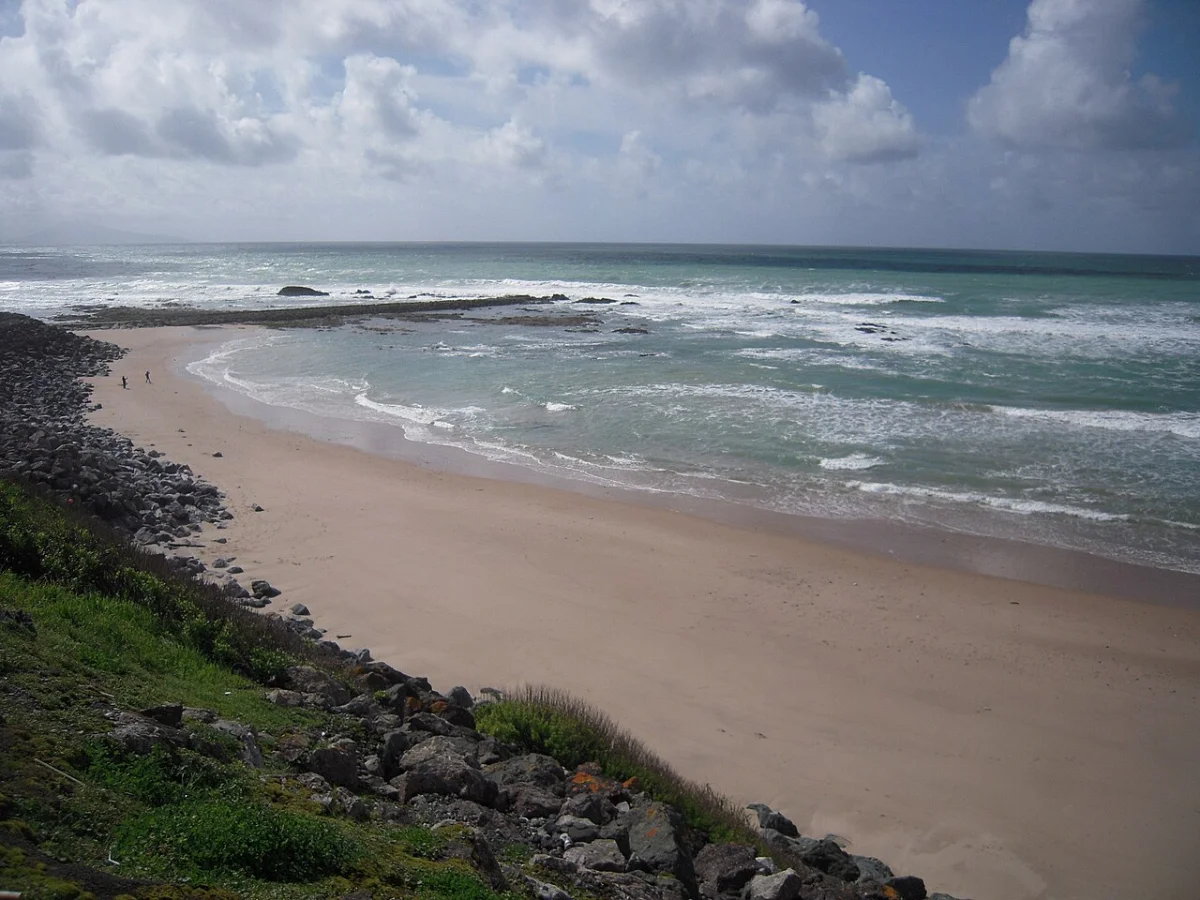 Biarritz Marbella