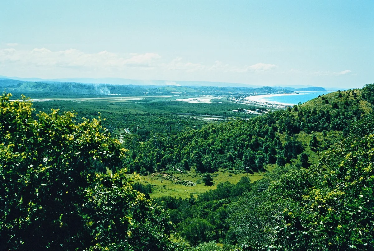 Bilinga