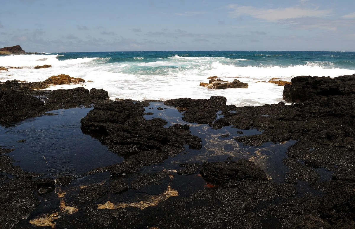Black Rocks