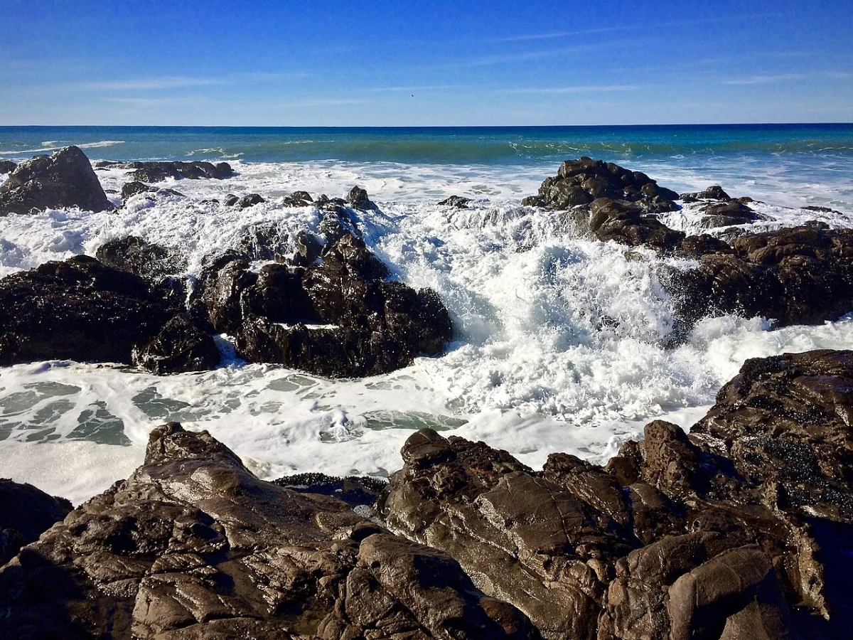 Bluffer's Park