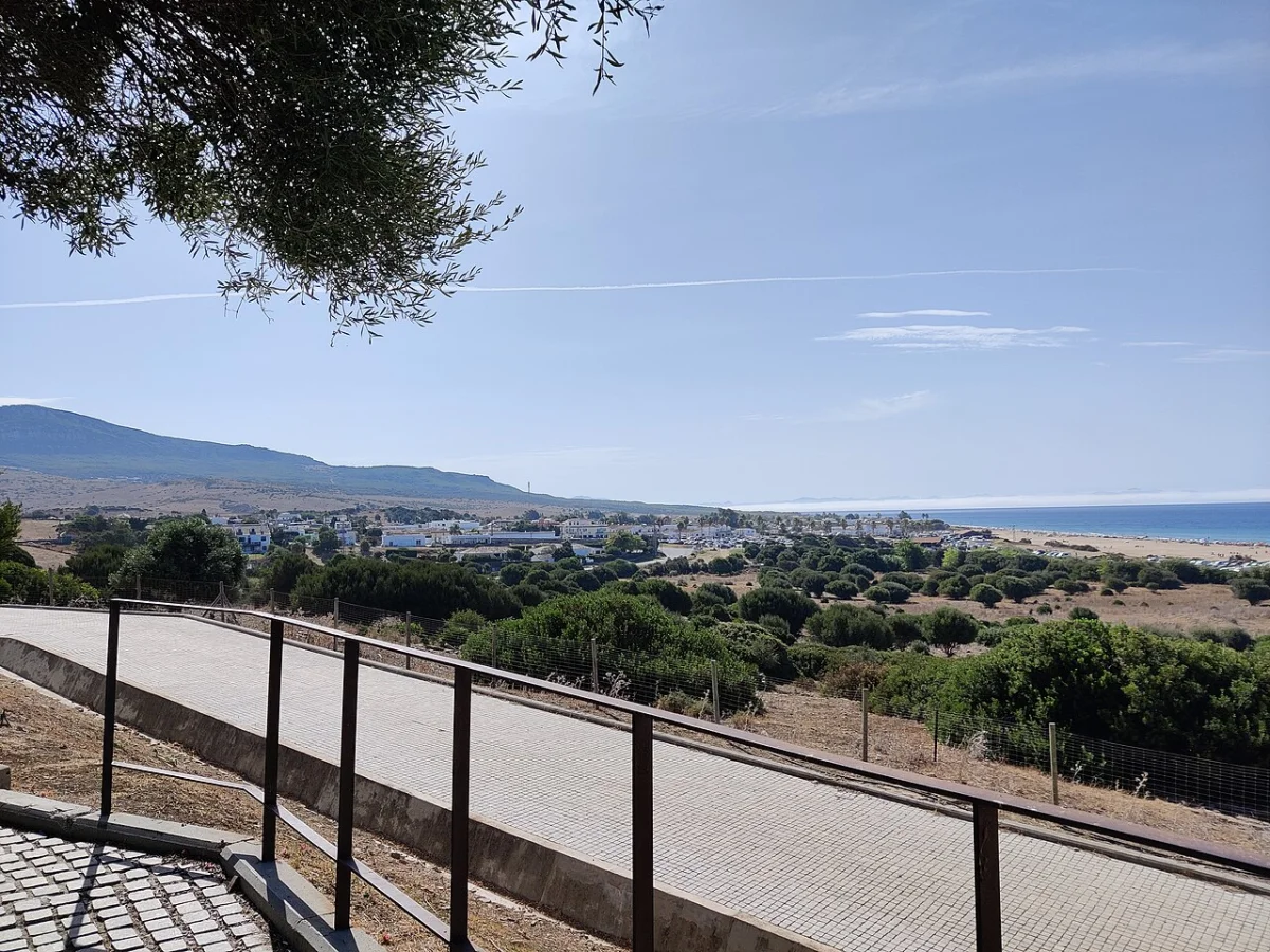 Bolonia
