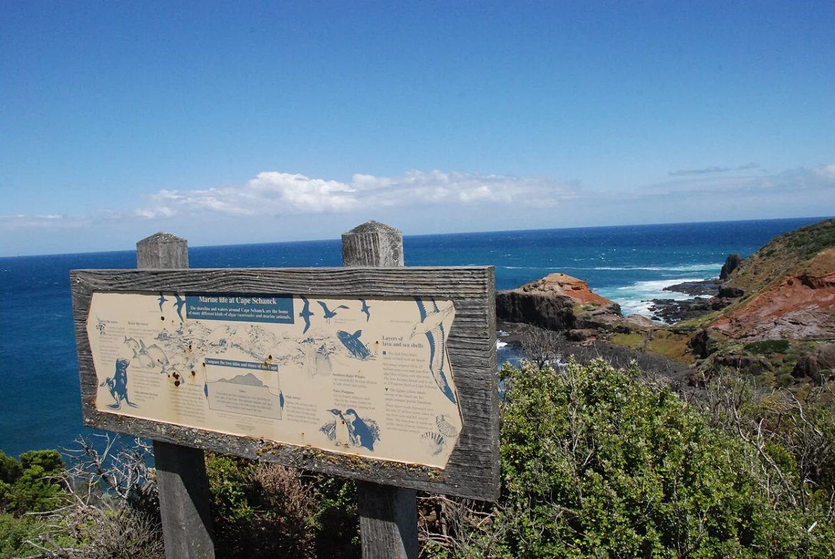 Cape Schanck