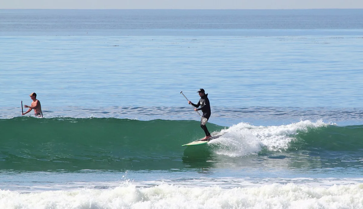 Cardiff Reef
