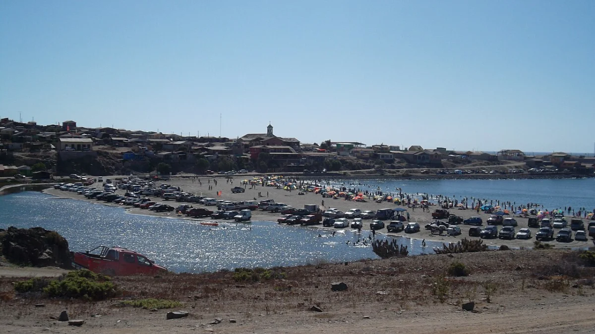 Carrizal Bajo
