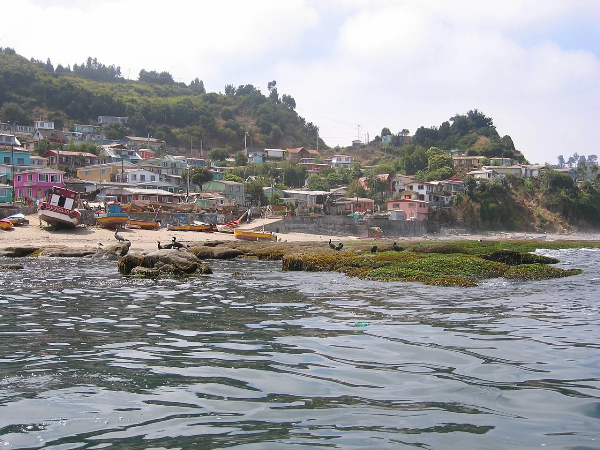 Cocholgue