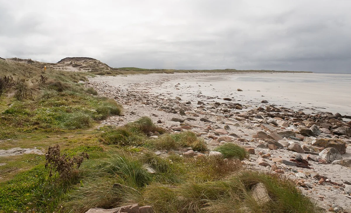 Cross Beach (Mullet)