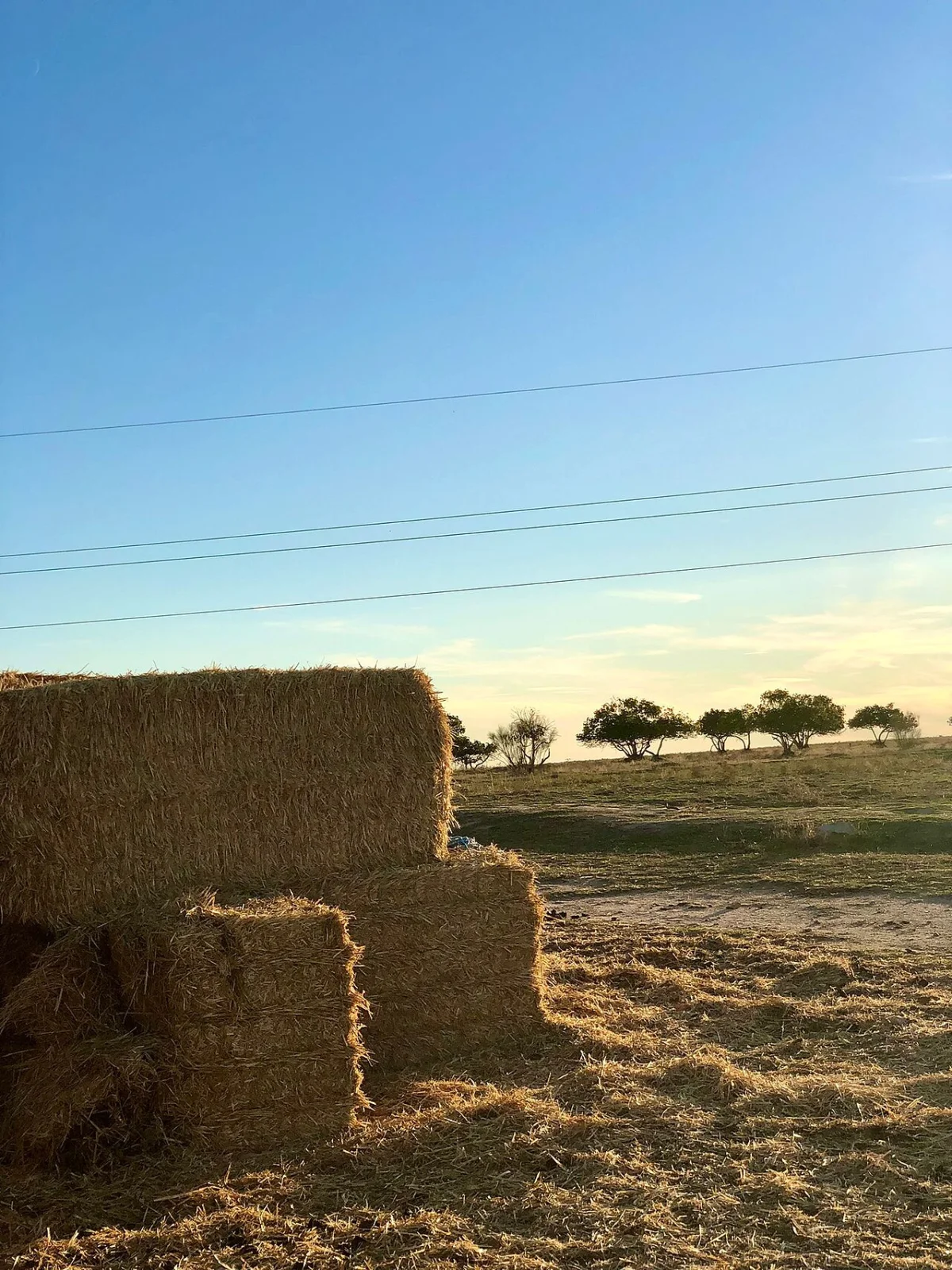 El Pajar