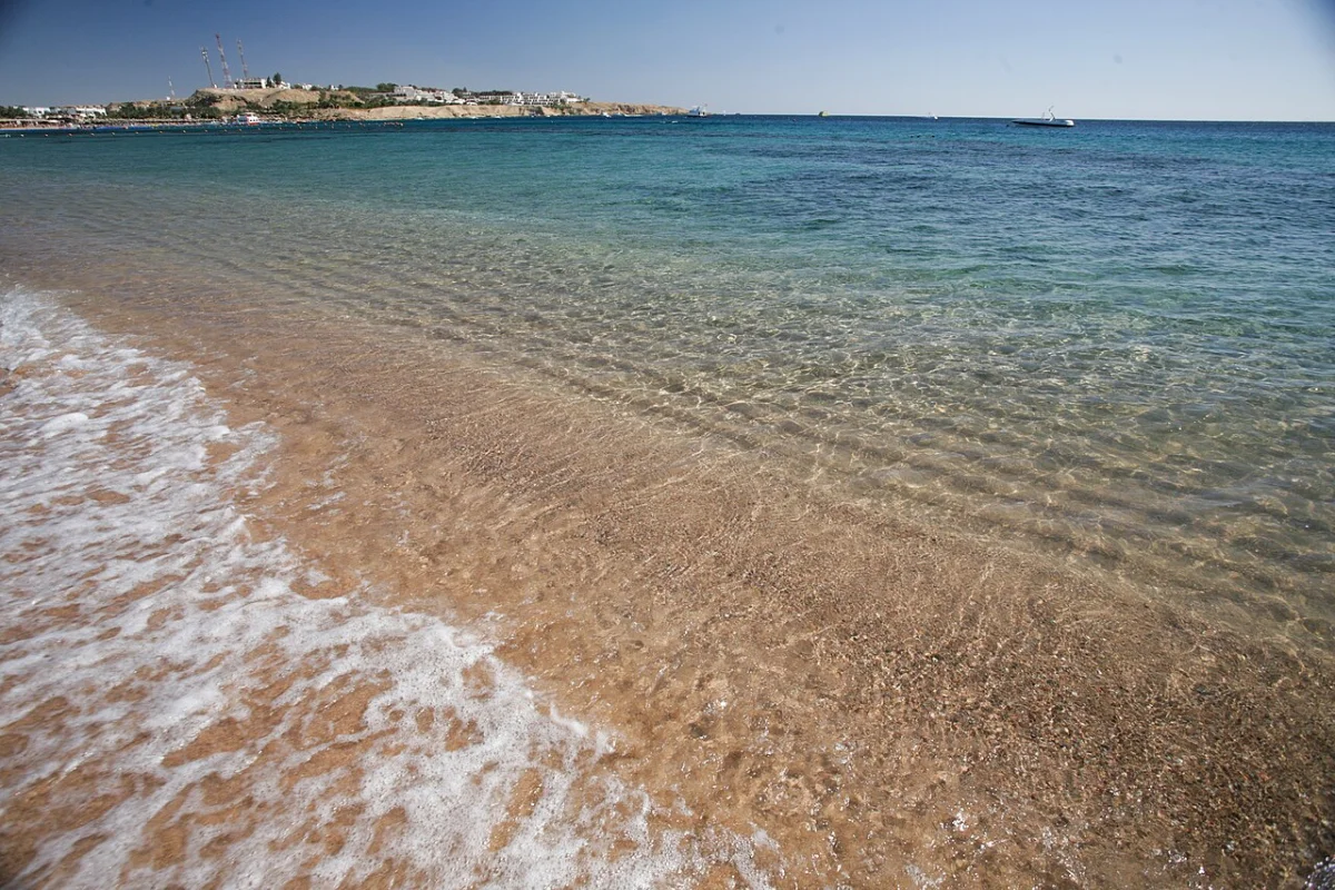 Elly Bay