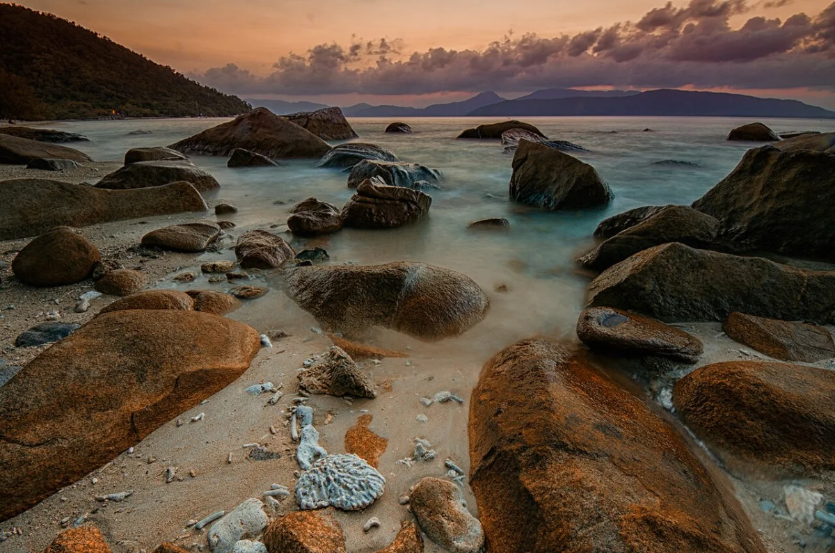 Fitzroy reef