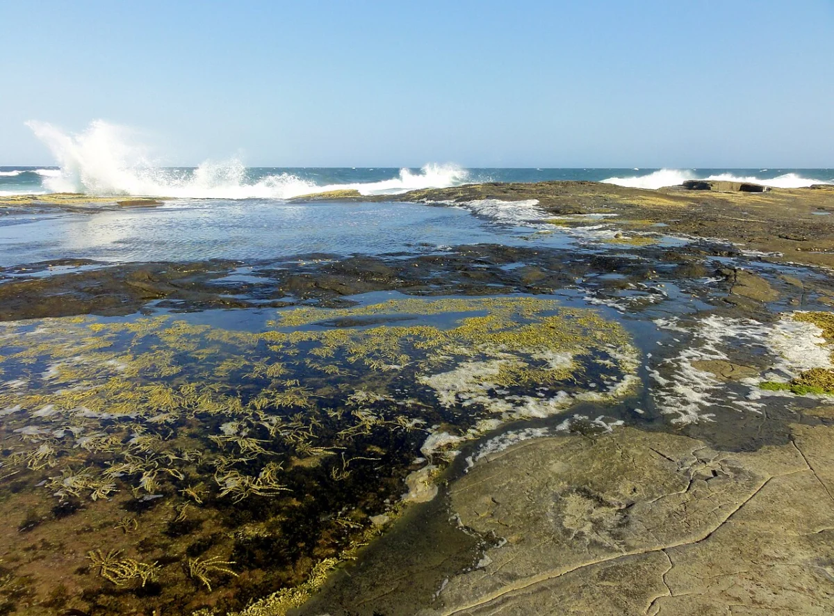 Iluka Bluff