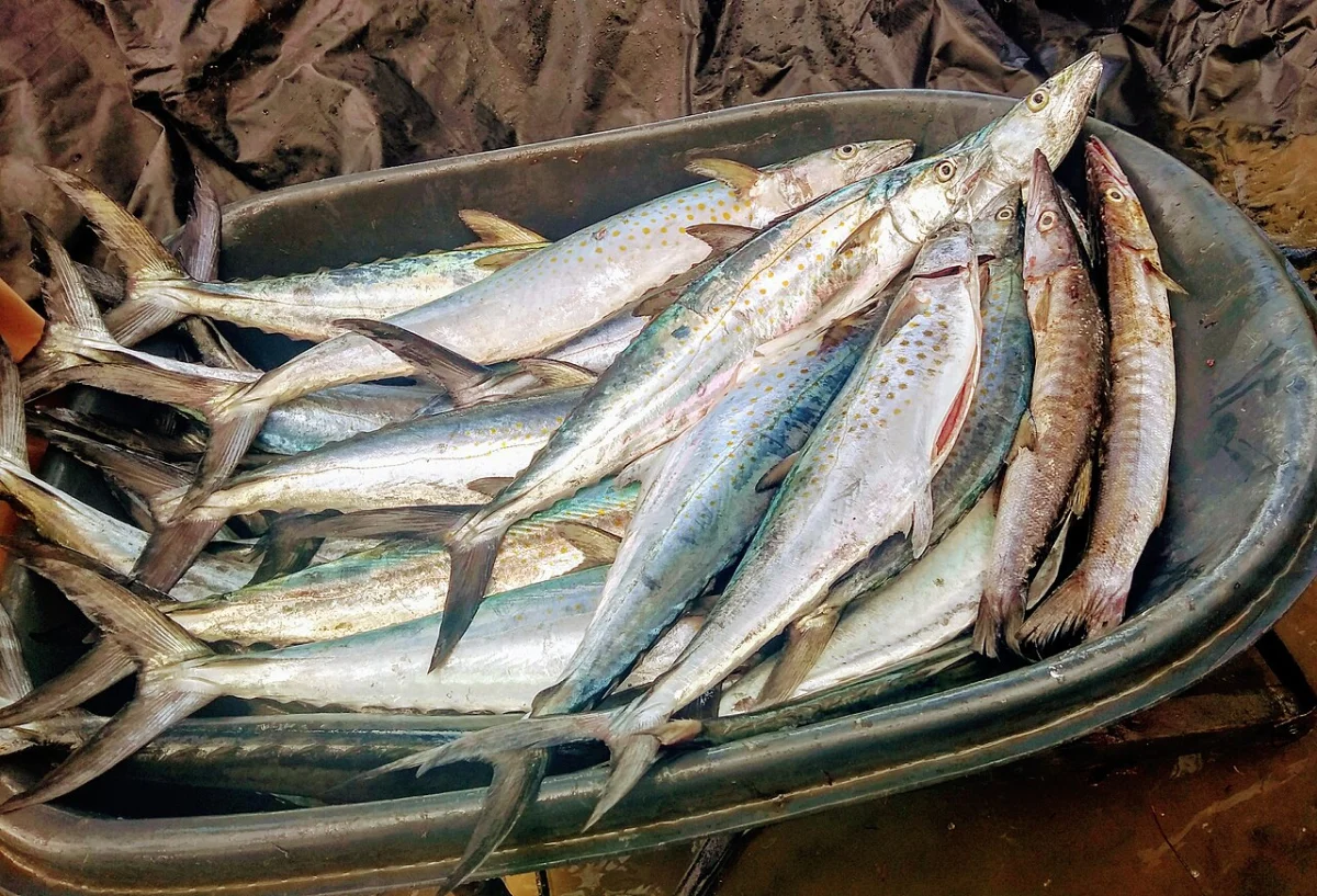 Juanchaco