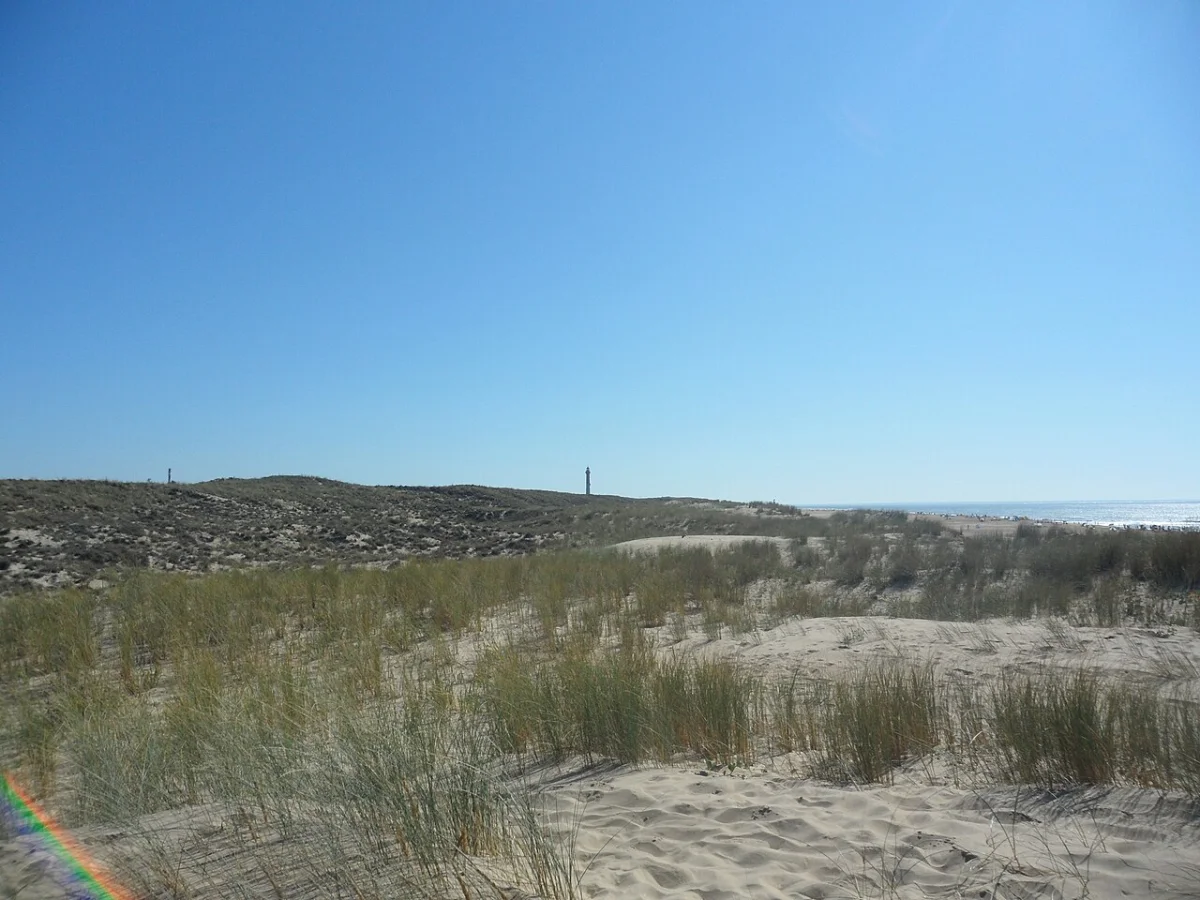 La Cote Sauvage La Tremblade
