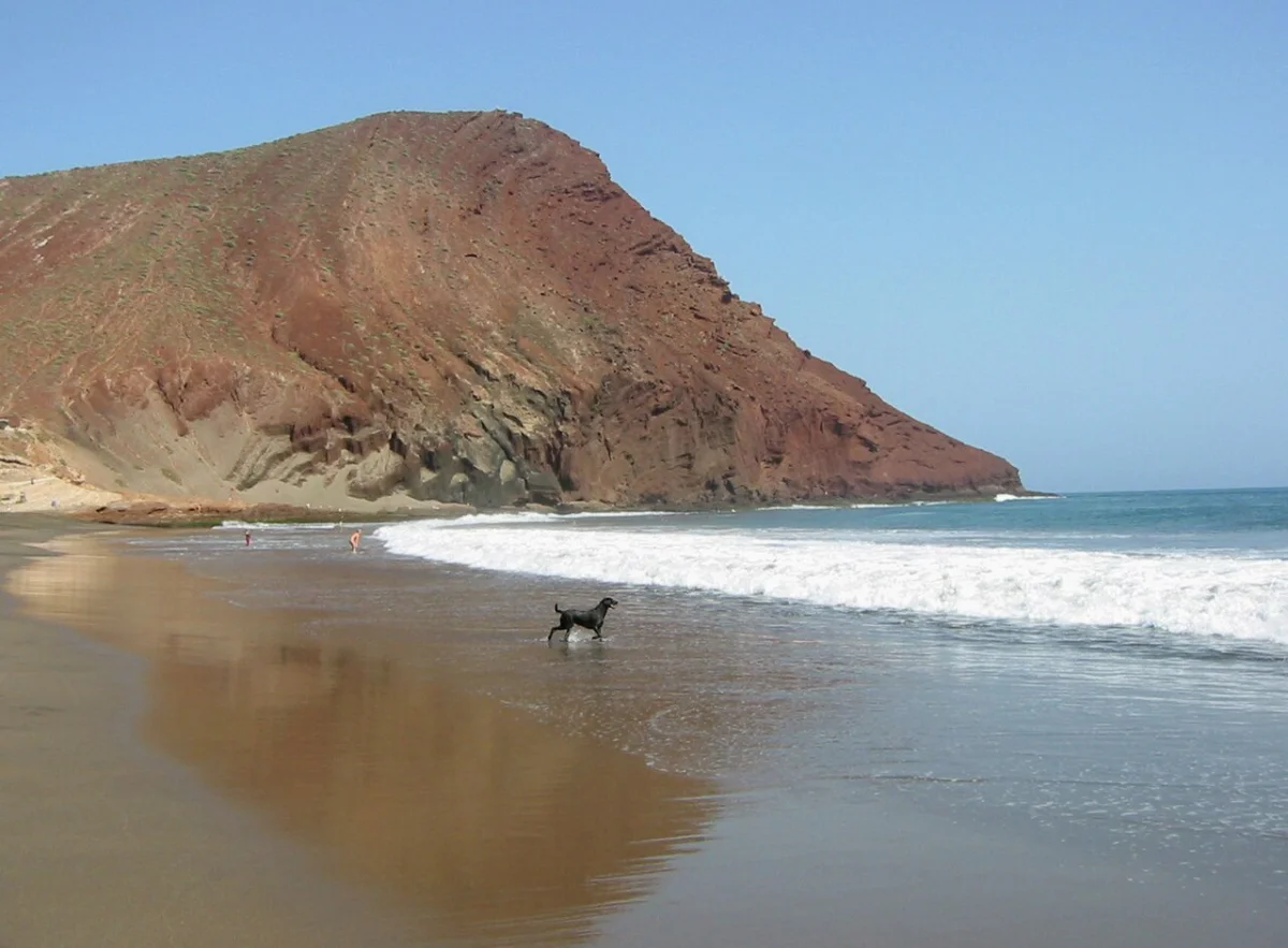 La Tejita (El Medano)