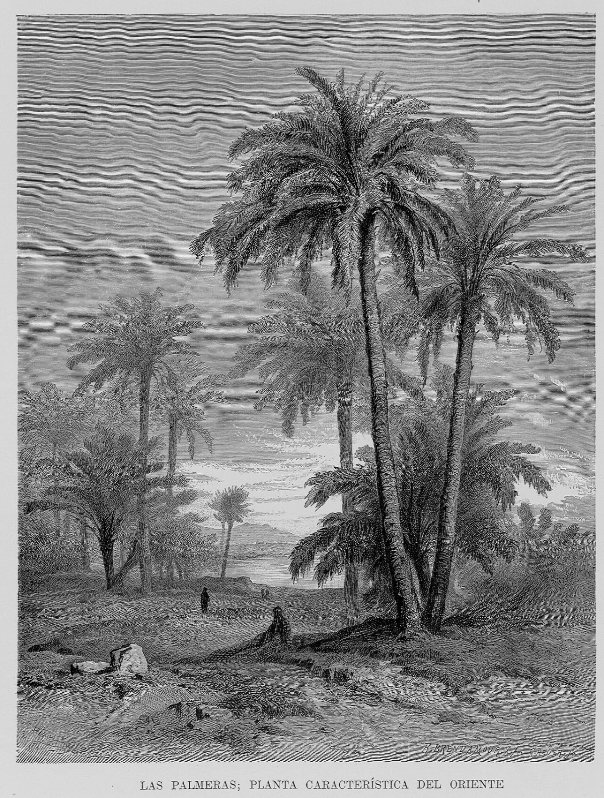 Las Tres Palmeras