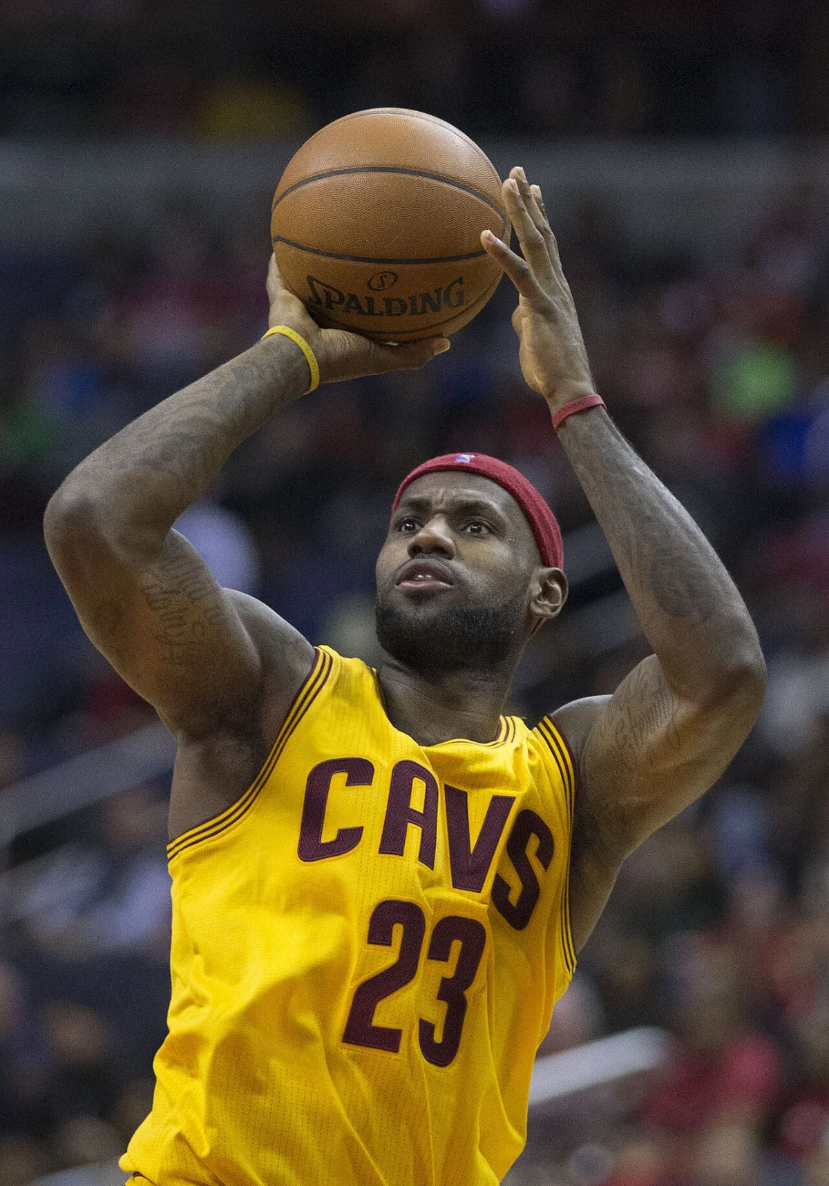Les Cavaliers