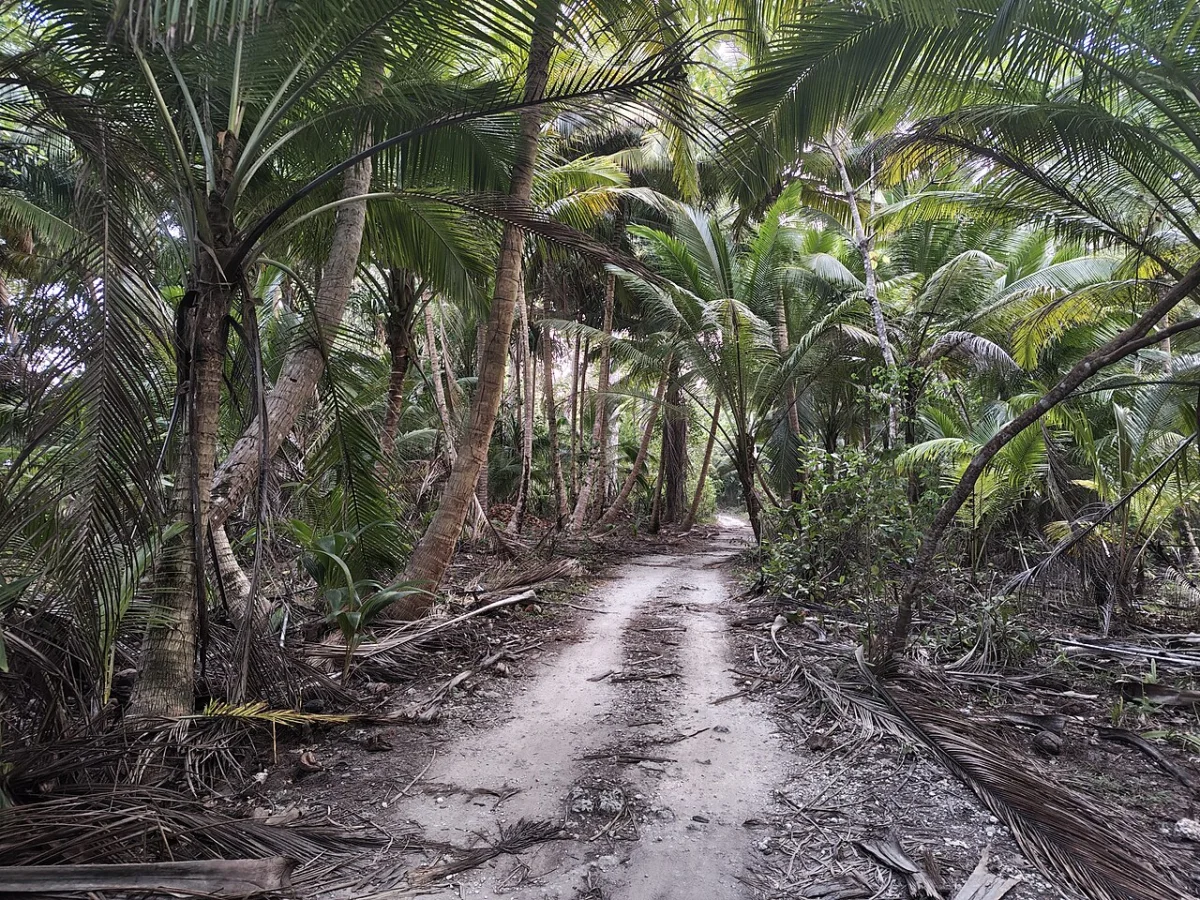 Little Andaman