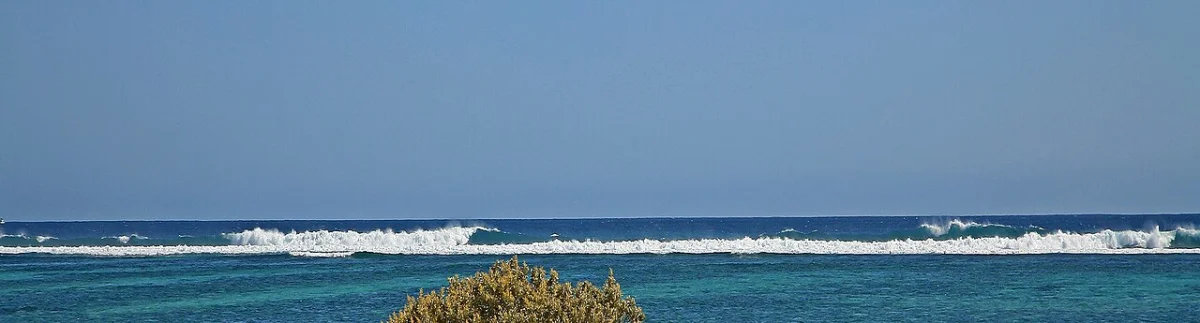 Long Reef
