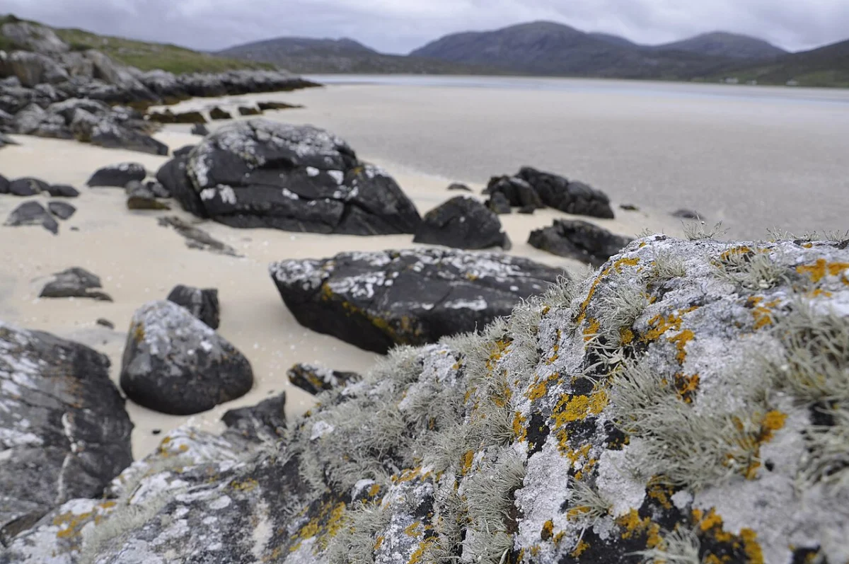 Luskentyre