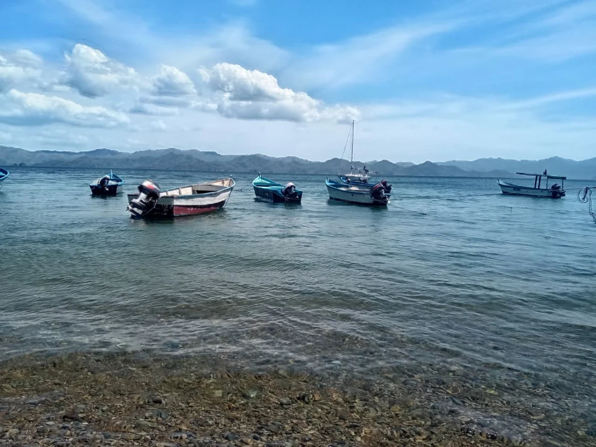Manzanillo Punta