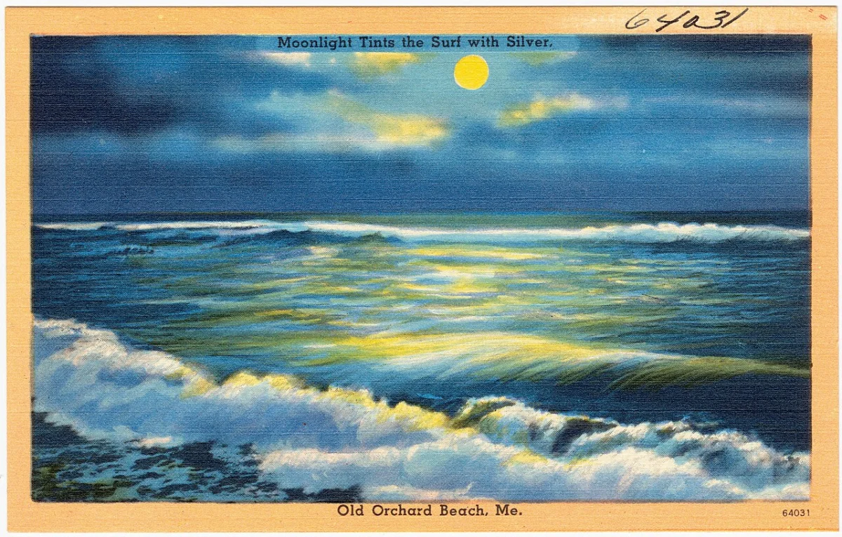 Moonlight Beach