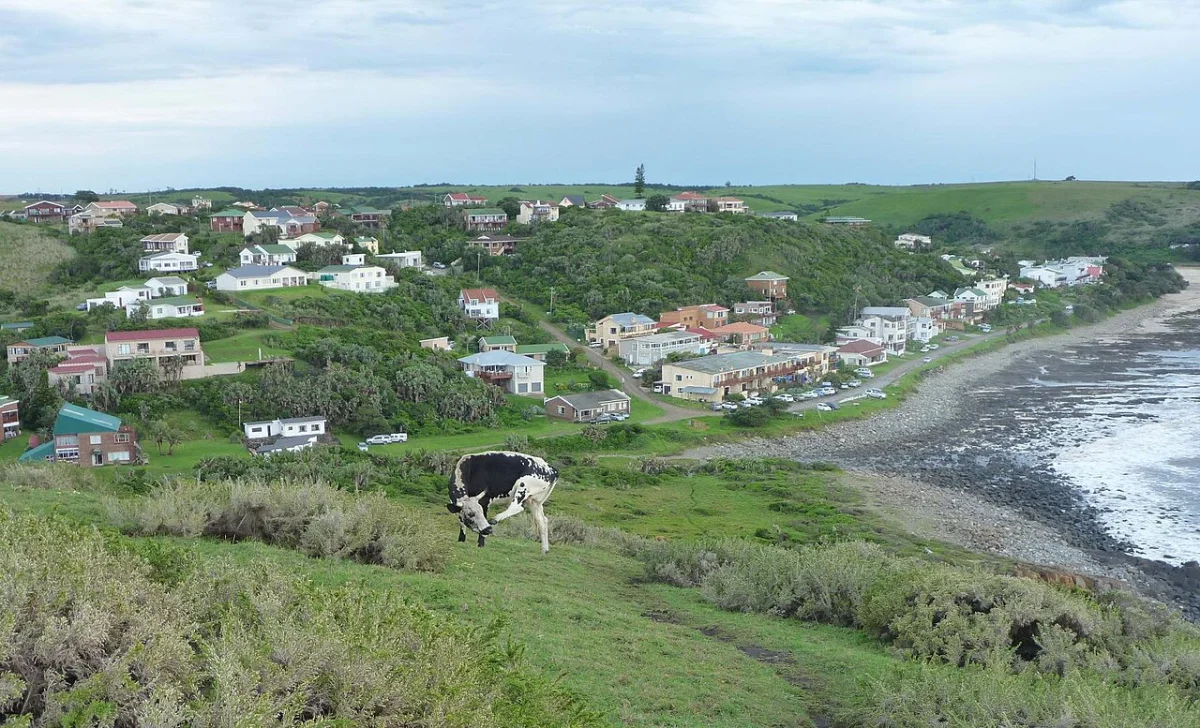 Morgan Bay