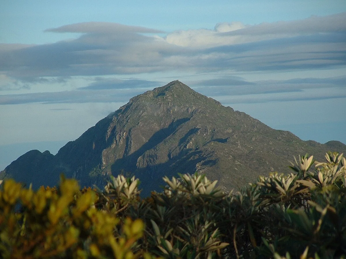 Naiguatá